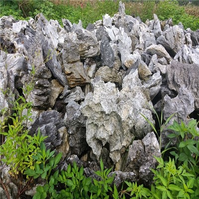 峰石造景 庭院假山与园林英石的艺术融合